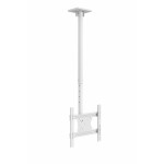 Multibrackets - Soporte TV de techo. VESA 40x40. Ref. Ceilingmount Medium c/ BlancoCatálogo Productos